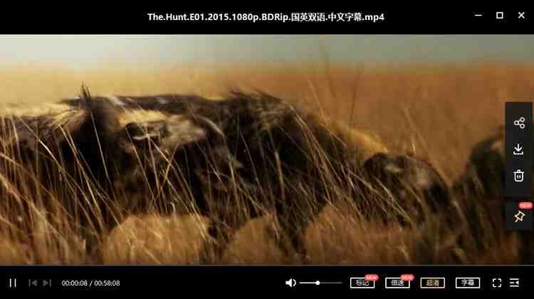 BBC纪录片之《猎捕(The Hunt)》1-7集英语中文字幕超清合集[MKV]百度云网盘下载