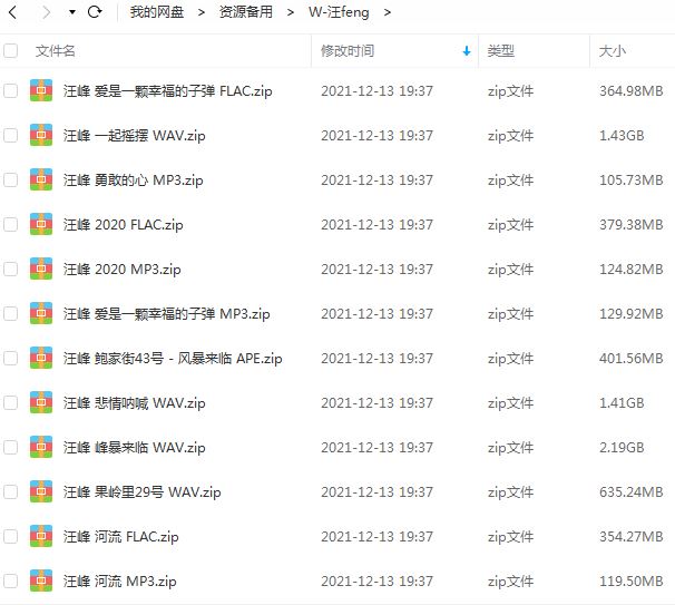 汪峰专辑所有歌曲合集-经典发烧18张专辑无损音乐打包[FLAC+WAV+MP3]百度云网盘下载