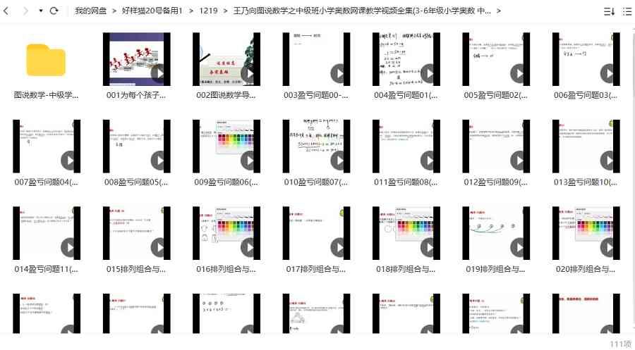 《王乃向图说数学(初级版+中级版+高级版)》视频课全集[MP4]百度云网盘下载