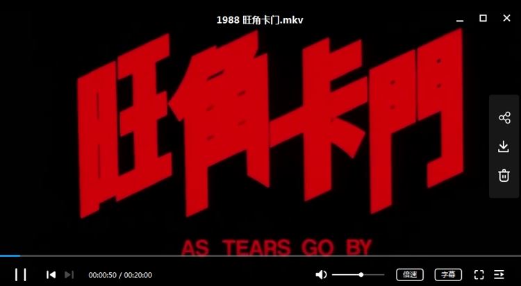 王家卫1988-2013年导演的10部电影超清合集[MKV]百度云网盘下载