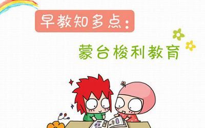 《蒙台梭利》幼儿教育系列视频+音频+课件教材打包[AVI/MP4/DOC/PDF]百度云网盘下载