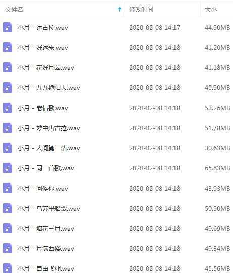 小月13首精品流行发烧歌曲合集打包[WAV]百度云网盘下载