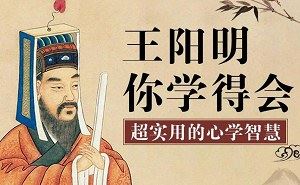 《王阳明你学得会：超实用心学智慧》完结版音频合集[M4A]百度云网盘下载