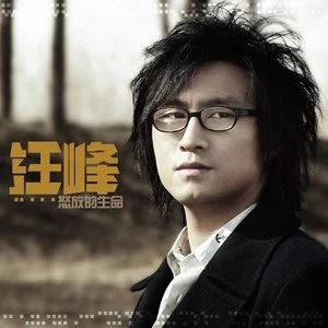 汪峰所有经典摇滚歌曲合集-15张专辑(2000-2021)无损音乐打包[FLAC/MP3]百度云网盘下载