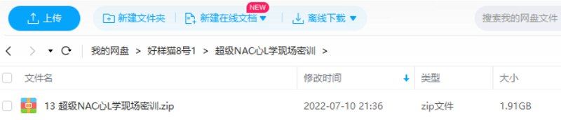 陈安之《超级NAC心理学现场密训》全15集视频合集[RM]百度云网盘下载