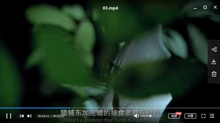 《地球的夜晚》纪录片1-6集英语中文字幕高清合集[MP4]百度云网盘下载