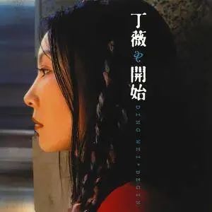 丁薇10首经典流行歌曲合集打包[WAV]百度云网盘下载