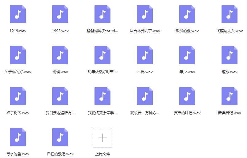 许飞20首经典流行发烧歌曲合集打包[WAV]百度云网盘下载