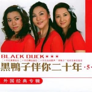 黑鸭子组合精选发烧歌曲合集-39张专辑超高无损音乐打包[FLAC/WAV]百度云网盘下载