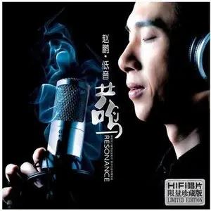 赵鹏专辑低音演唱者所有歌曲合集-16张专辑(2004-2020)无损音乐打包[FLAC/APE]百度云网盘下载