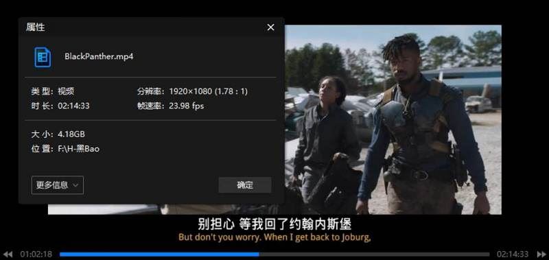 美国科幻动作电影《黑豹》蓝光英语中文字幕超清视频[MKV]百度云网盘下载