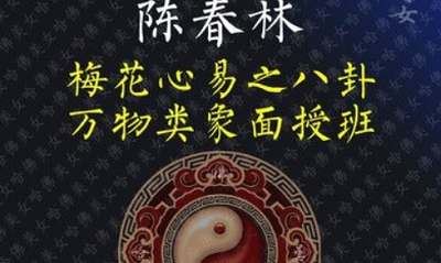 陈春林2012年《梅花心易八卦万物类象面授班》14集高清视频合集[MP4]百度云网盘下载