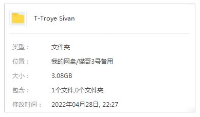 戳爷/Troye Sivan精选发烧歌曲合集-38张专辑+流行单曲打包[FLAC/MP3]百度云网盘下载