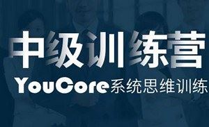 《中级训练营：YouCore系统思维应用》课程视频+音频合集[MP4/MP3/DOCX]百度云网盘下载