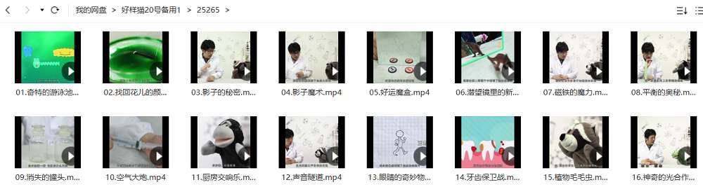 《STEAM幼儿科学课》全16节视频合集[MP4]百度云网盘下载