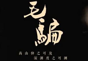 国产犯罪悬疑剧《毛骗》1-3季全44集+番外篇中文字幕超清合集[MP4]百度云网盘下载