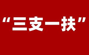 《三支一扶/村官考试教学培训视频资料》课程视频合集[MP4]百度云网盘下载