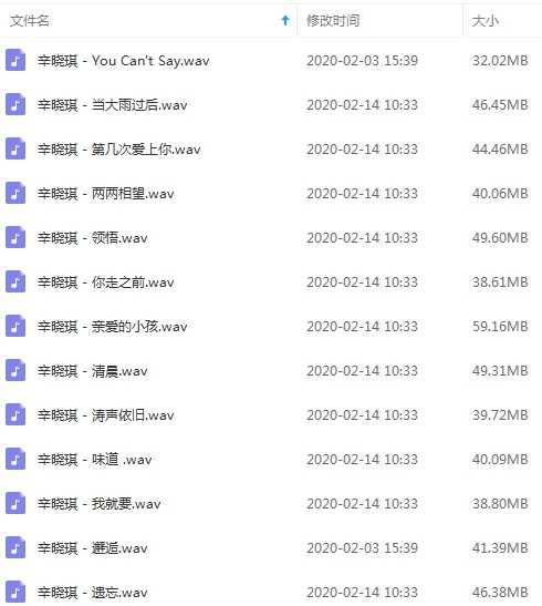 辛晓琪13首经典流行发烧歌曲合集打包[WAV]百度云网盘下载