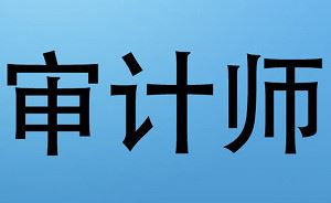 《审计师考试教学培训视频资料》课程视频合集[MP4/WORD]百度云网盘下载