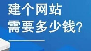 王通建网站零基础教程-1小时建站教学课程视频高清合集[AVI]百度云网盘下载