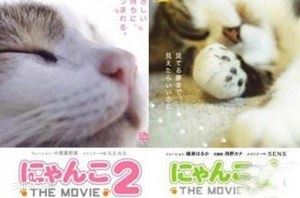 日本高评分纪录片《猫咪物语》1-5部日语外挂中字幕高清合集[MP4]百度云网盘下载