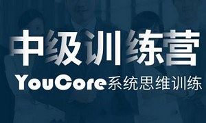 《中级训练营：YouCore系统思维应用》课程视频合集[MP4/MP3]百度云网盘下载