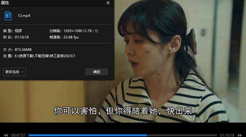 韩剧《特工家族》全12集1080P画质韩语中文字幕[MP4]百度云网盘下载