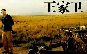 王家卫(Wong Kar-wai)导演11部电影作品中文字幕高清合集[MKV]百度云网盘下载