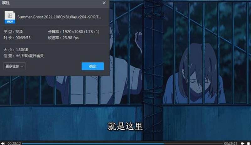 2021年动画电影《夏日幽灵》高清日语中文字幕[MKV]百度云网盘下载