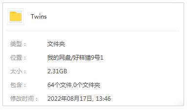 Twins组合64首精选歌曲合集-超高无损音乐打包[WAV]百度云网盘下载