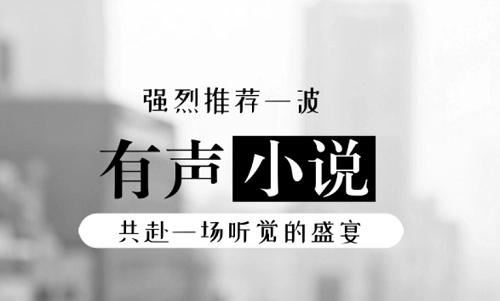 世界听一听-《隐婚》有声小说全14回音频合集[MP3]百度云网盘下载