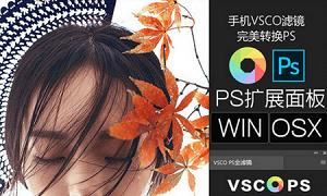 VSCO全滤镜转PS插件一键调色完美模拟182款预设[ZIP]百度云网盘下载