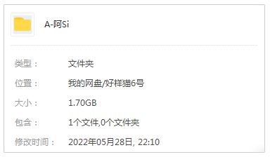 阿肆精选发烧歌曲合集-24张专辑(2013-2021)高音质音乐打包[MP3]百度云网盘下载